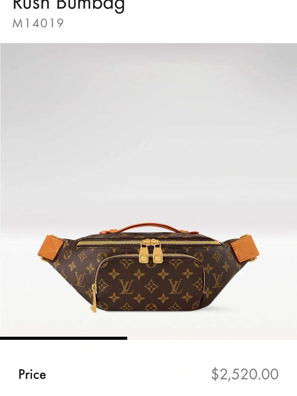 Louis Vuitton Monogram Canvas Belt Bag with Tan Trim